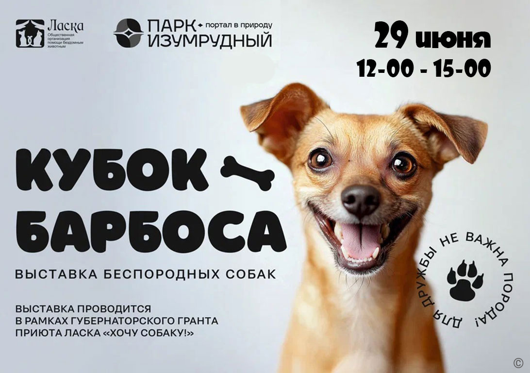 В парке «Изумрудный» приют для животных «Ласка» проведет выставку собак