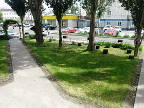 Городские службы и организации скашивают траву на барнаульских улицах