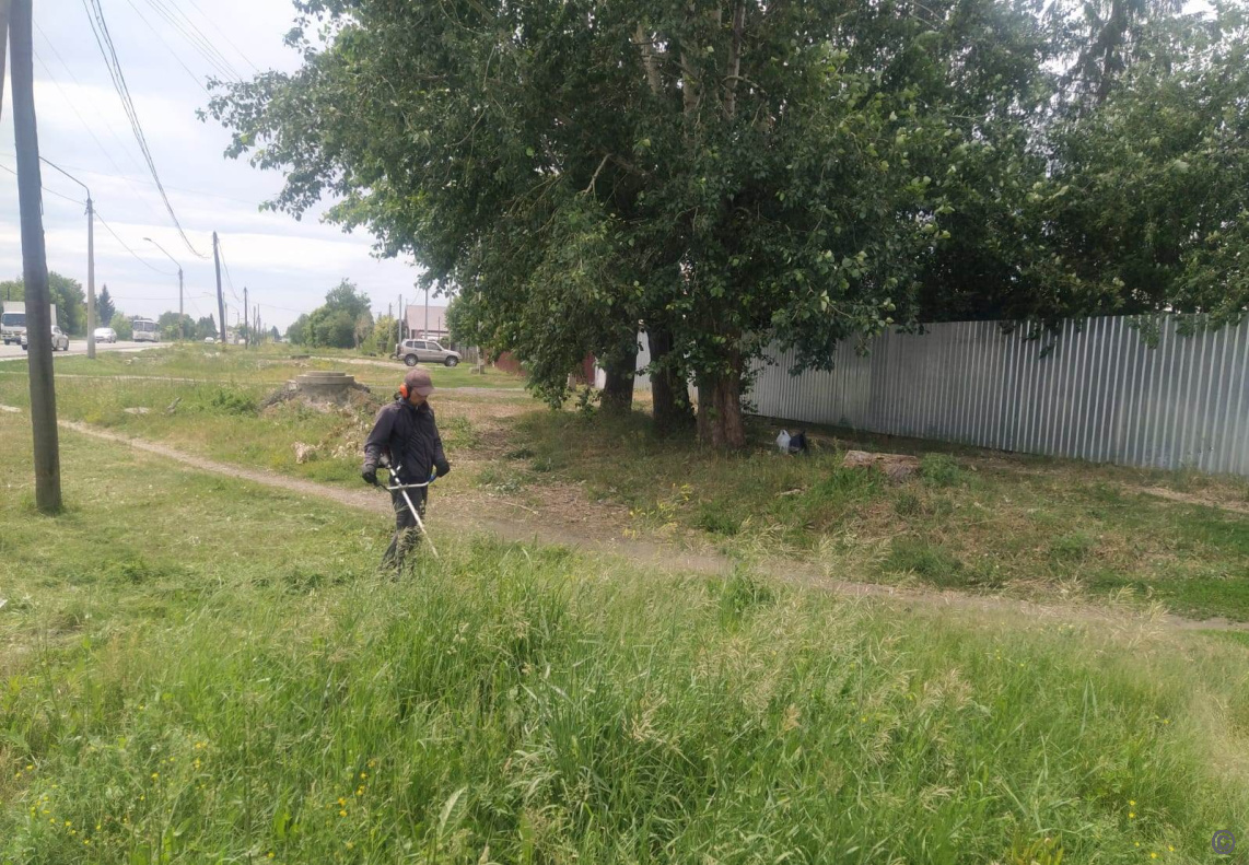 В с.Власиха продолжаются работы по покосу травы БАРНАУЛ :: Официальный сайт  города