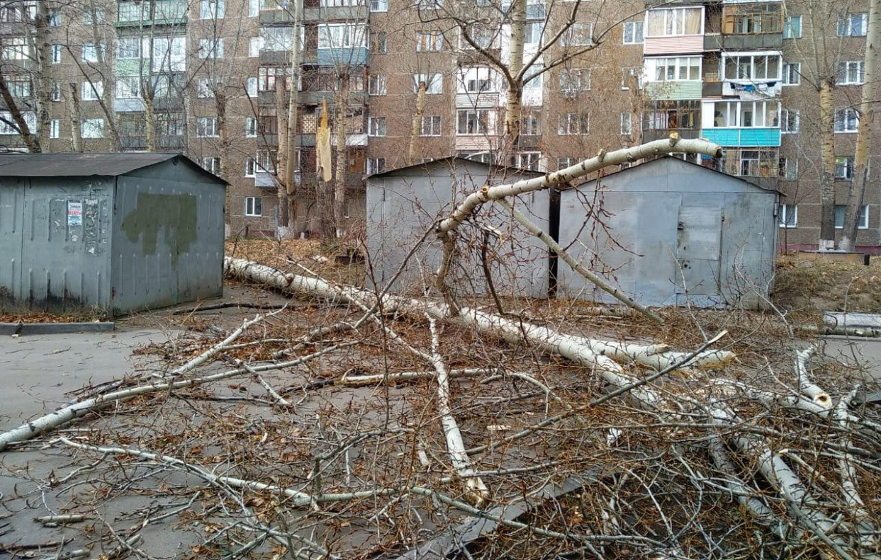 Последствия непогоды устраняют в Барнауле БАРНАУЛ :: Официальный сайт города