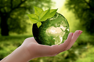 В краевой столице подвели итоги конкурса «За вклад в защиту окружающей среды города Барнаула» 