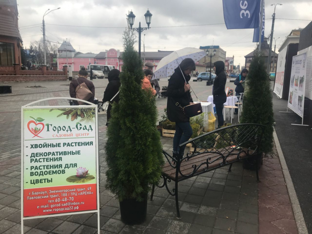 На пешеходной улице Мало-Тобольской барнаульцам предложили саженцы для дома  и дачи БАРНАУЛ :: Официальный сайт города