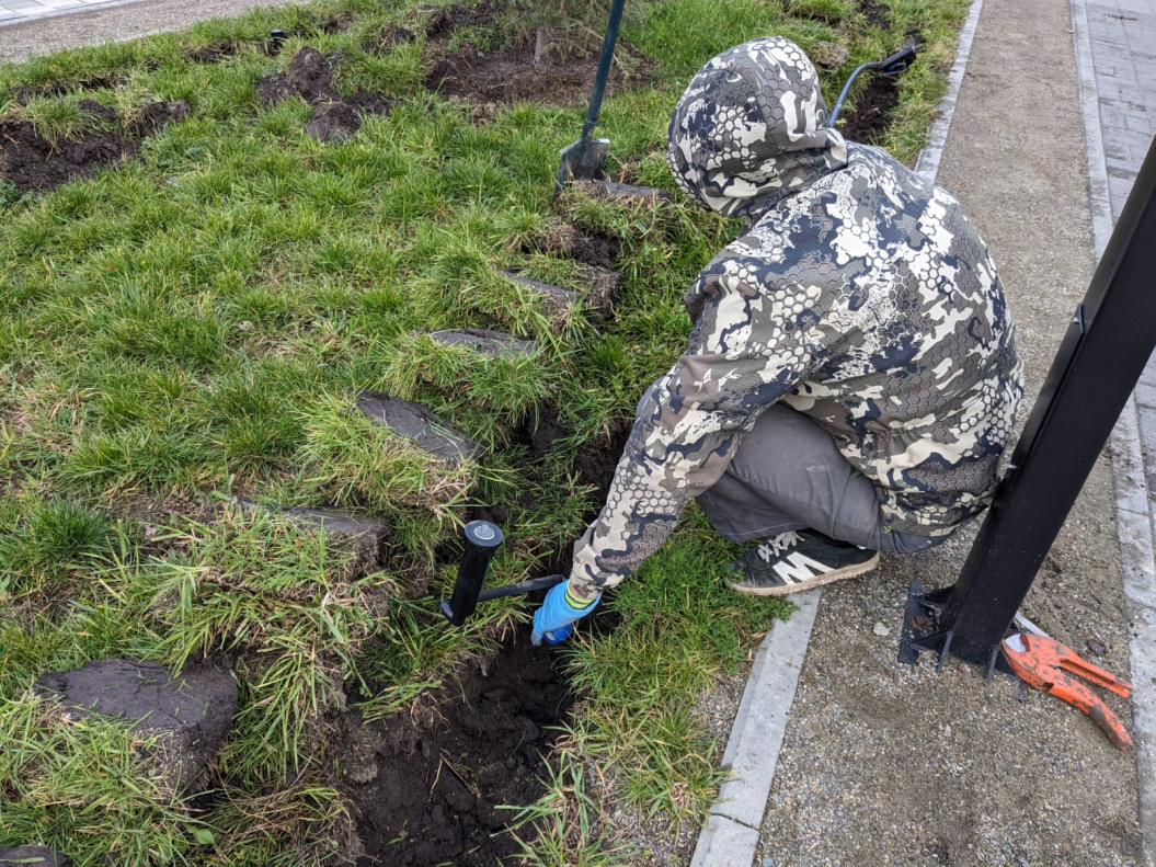 В Барнауле в сквере «Взлетный» появится автоматическая система полива  БАРНАУЛ :: Официальный сайт города