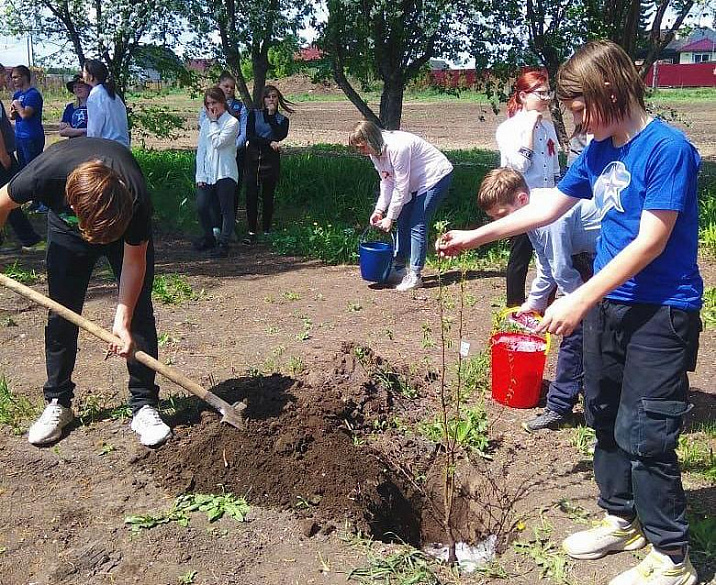 В пригороде Центрального района Барнаула продолжается Всероссийская акция «Сад памяти»