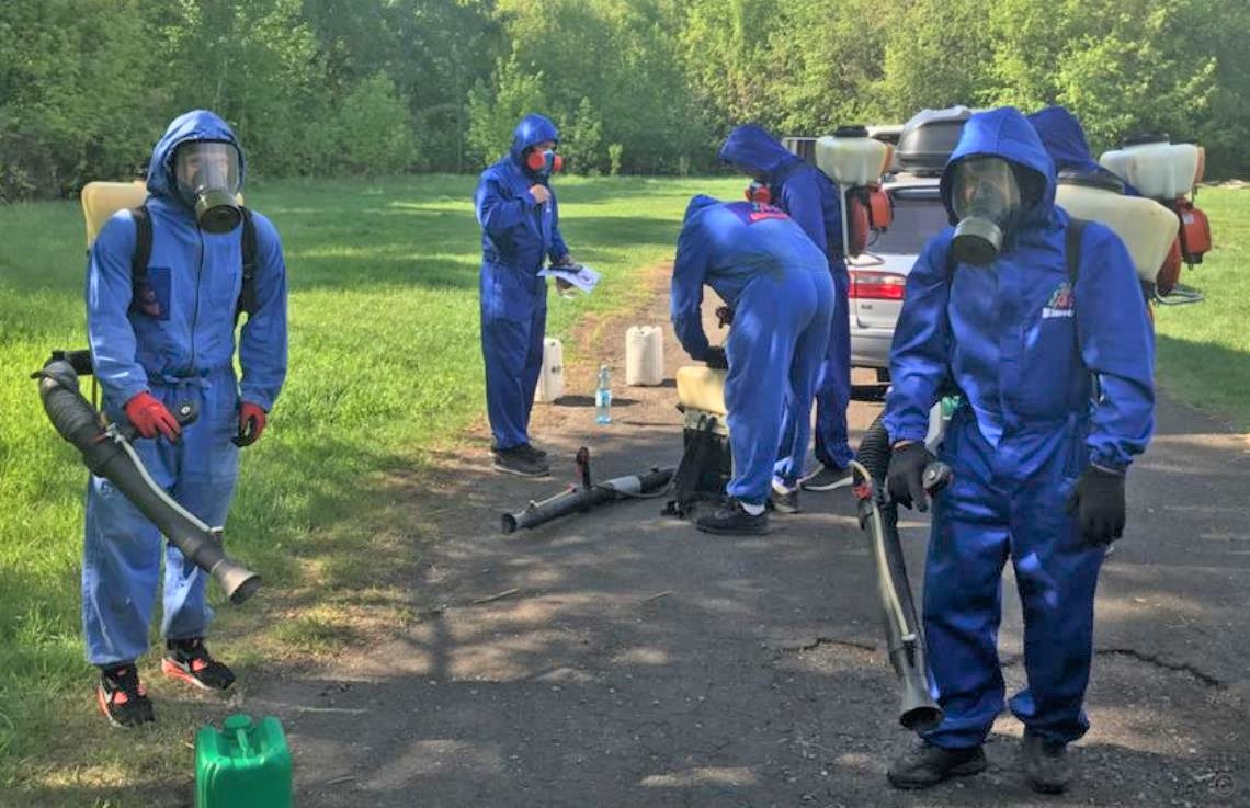 Стало известно, когда в Барнауле проведут акарицидную обработку зеленых зон  БАРНАУЛ :: Официальный сайт города