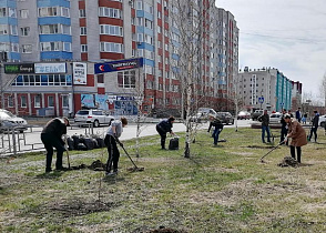 В Барнауле на улице Лазурной высадили молодые деревья