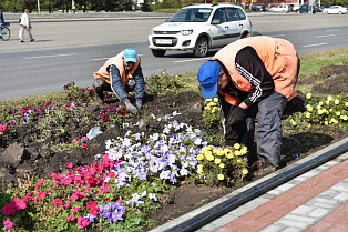 На цветниках города начались подготовительные работы перед посадкой многолетних луковичных культур