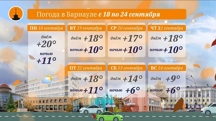 Барнаульцев на текущей неделе ждет тепло и небольшие дожди