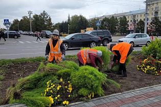 В Барнауле готовят цветники для высадки тюльпанов