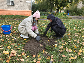 Барнаульские школьники провели акцию «Спаси дерево»