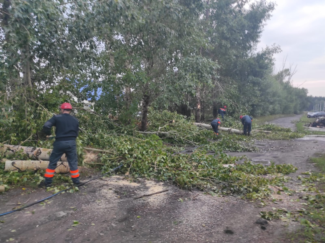 Городские службы оперативно устранили последствия непогоды в Барнауле  БАРНАУЛ :: Официальный сайт города