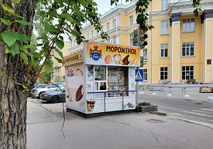 Как в Барнауле размещают нестационарные торговые объекты