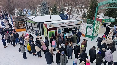 Более 13 тысяч жительниц посетили Барнаульский зоопарк в Международный женский день