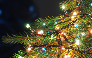 Безопасный Новый год: как поставить праздничную елку и не допустить пожара