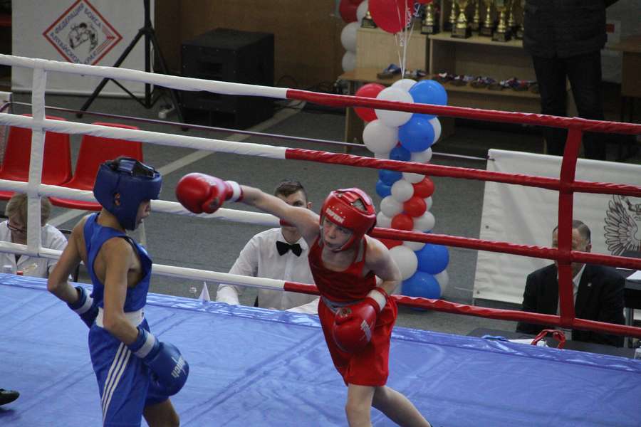 Цска иркутск бокс. Первенство города барнаула бокс. Соревнования в барнауле по боксу. Сфо по боксу. Сфо по боксу.