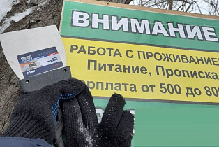 Барнаульцев предупреждают: размещение самовольных объявлений портит внешний облик города и наказуемо