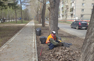 Рабочие предприятия «Благоустройство и озеленение» Барнаула убирают скверы и вывозят мусор с улиц