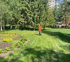 В районах Барнаула продолжаются сезонные работы по покосу травы