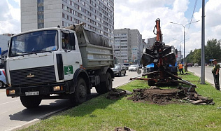 В Барнауле обновят зеленую зону на улице Молодежной