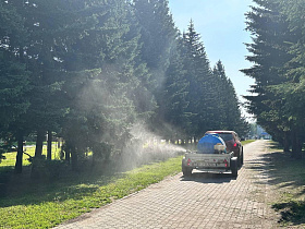 В Барнауле ведется дезинсекционная обработка территорий от комаров