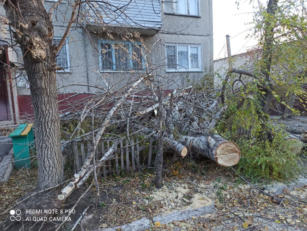 Дорожные и коммунальные службы устраняют последствия непогоды в Барнауле  БАРНАУЛ :: Официальный сайт города