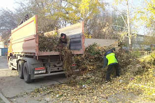 Больше 140 машин мусора вывезли с территории Барнаула в третий «чистый четверг»