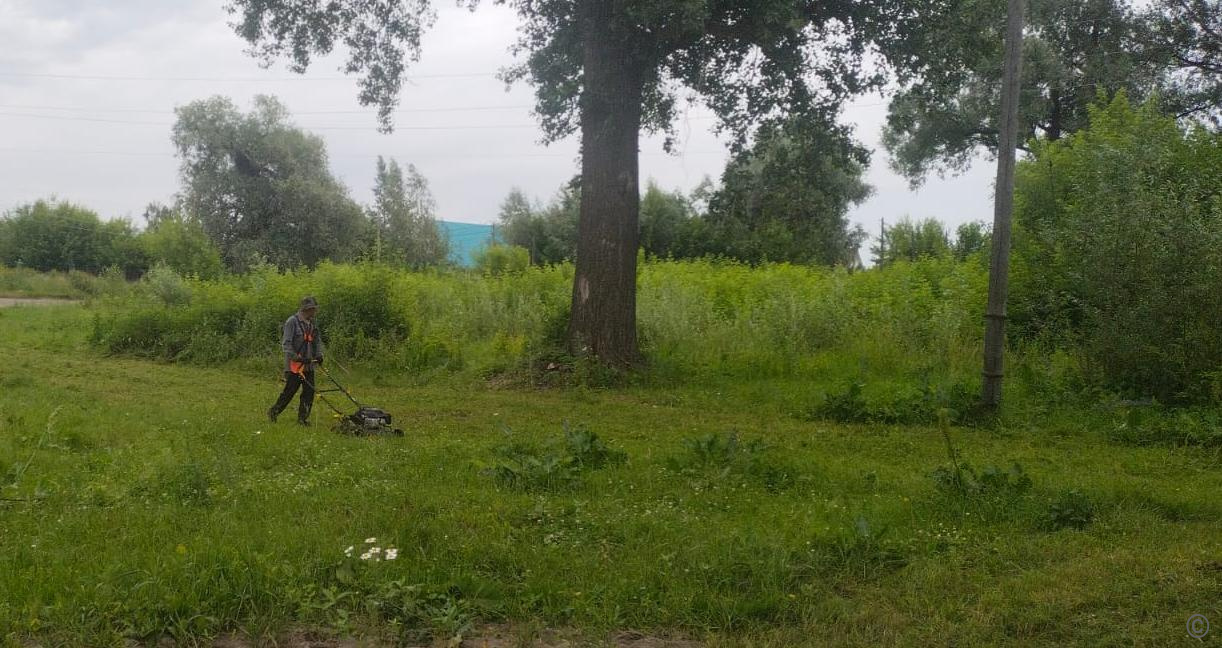 В Центральном районе проводятся работы по покосу травы | 04.07.2024 |  Барнаул - БезФормата