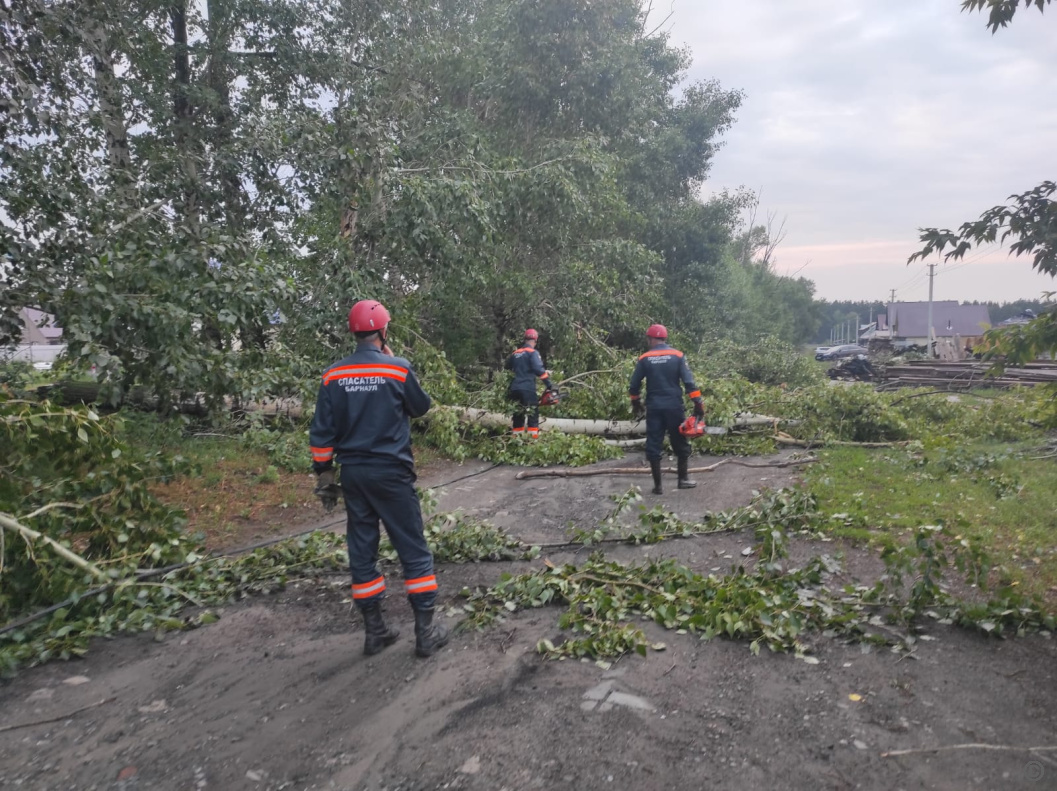 Городские службы оперативно устранили последствия непогоды в Барнауле  БАРНАУЛ :: Официальный сайт города