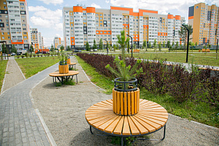 Барнаульцам предложили высказаться об озеленении города