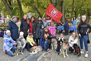 Фотосессия с собаками, мастер-классы и живая музыка: барнаульцев приглашают на праздник в парк «Солнечный ветер» 