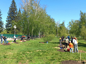 В Нагорном парке высадили березы в ходе эколого-патриотической акции