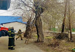 Городские службы устраняют последствия непогоды в Барнауле