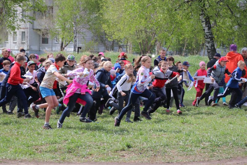 Соревнования по спортивному ориентированию «Российский азимут» провели в барнаульской Мизюлинской роще 