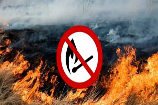 Барнаульцам напоминают о правилах пожарной безопасности при сильных порывах ветра