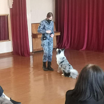 В барнаульской школе №54 прошел лекторий на тему обращения с домашними животными
