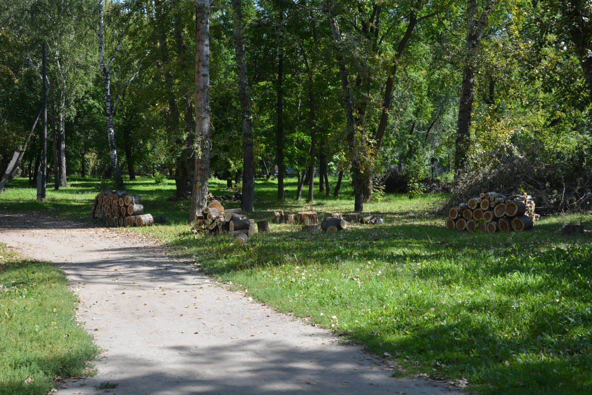 Парк изумрудный барнаул