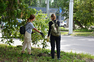 В районах Барнаула экологический отряд «Рысь» приступил к работам по благоустройству