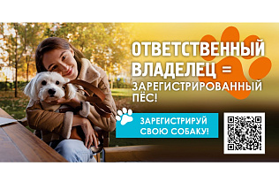 В Барнауле продолжаются регистрация и чипирование домашних собак 