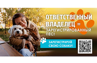 В Барнауле продолжаются регистрация и чипирование домашних собак 