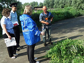 В Барнауле уничтожили несколько участков дикорастущей конопли