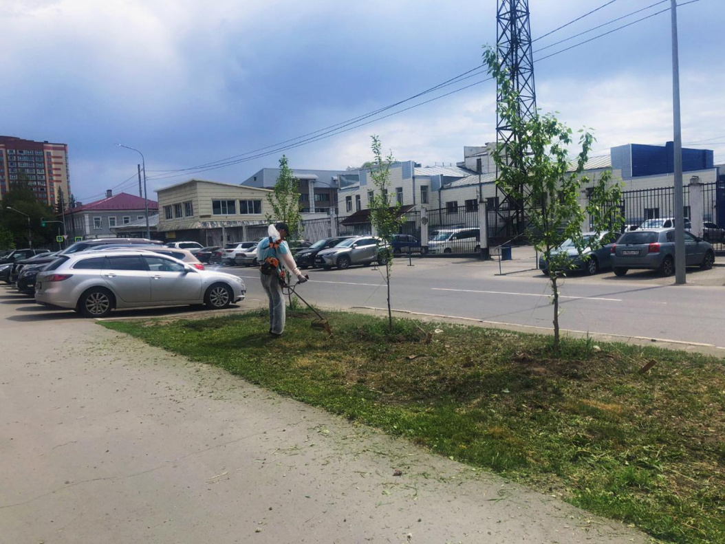 В Центральном районе Барнаула продолжаются сезонные работы по покосу травы  БАРНАУЛ :: Официальный сайт города