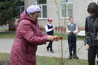 Школьники и труженики тыла поселка Лесного высадили молодые деревья в рамках акции «Сад Памяти»