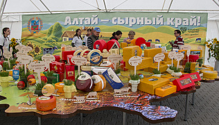 Почти 10 тонн сыра и другой молочной продукции было продано на фестивале «Дни алтайского сыра»