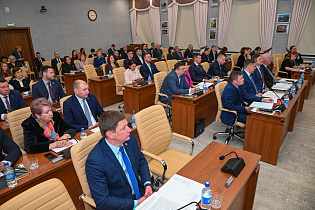 Депутатами БГД принята Стратегия социально-экономического развития Барнаула до 2036 года