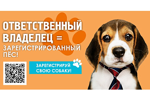 С 17 декабря пункт выездной регистрации домашних собак будет работать в селе Лебяжье 