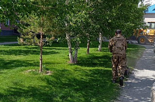 В Барнауле продолжают работы по покосу травы