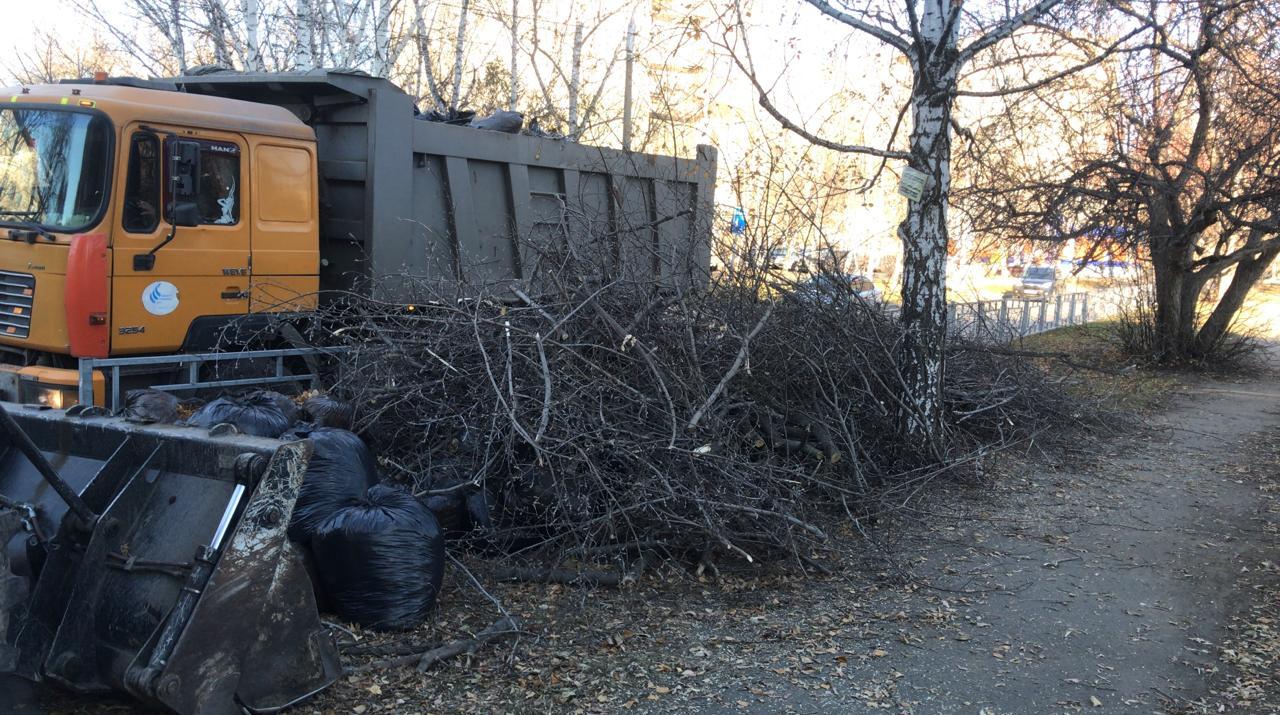 В Барнауле подвели итоги осеннего месячника санитарной очистки и  благоустройства БАРНАУЛ :: Официальный сайт города