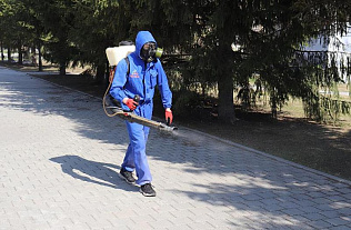 В Барнауле завершили акарицидную обработку общественных территорий