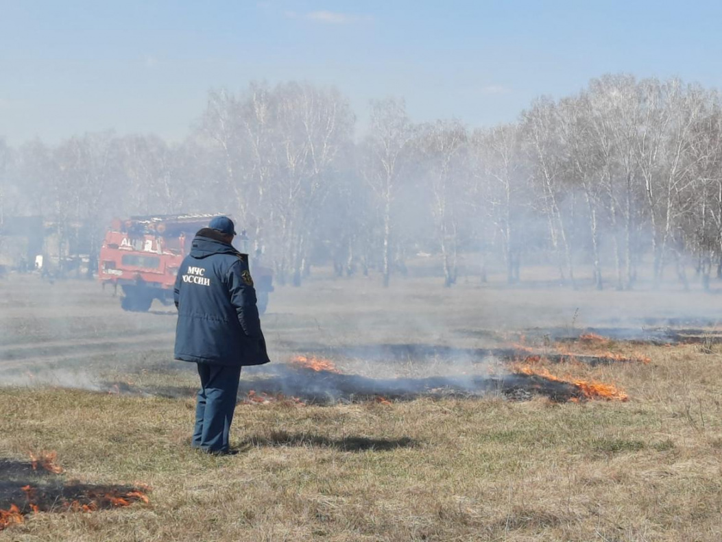 В пригороде проводятся профилактические отжиги сухой травы БАРНАУЛ ::  Официальный сайт города