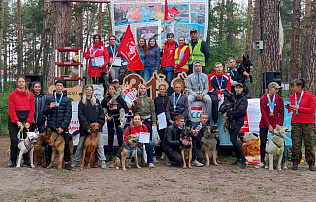 55 километров, 88 стартов и 14 пород собак: в Барнауле подвели итоги Каникросса-2022